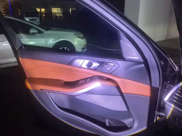 BMW X7 2021