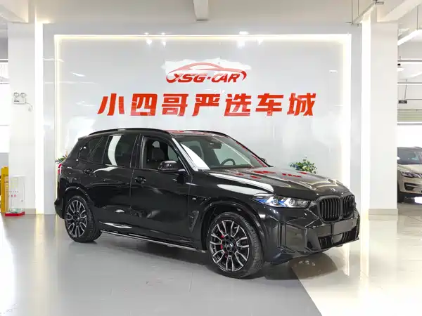 BMW X5 2024