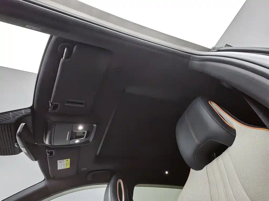 BYD Song PLUS New Energy 2024 — фото 14