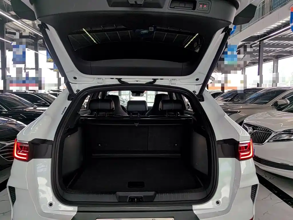 BYD Song PLUS New Energy 2022 — фото 19