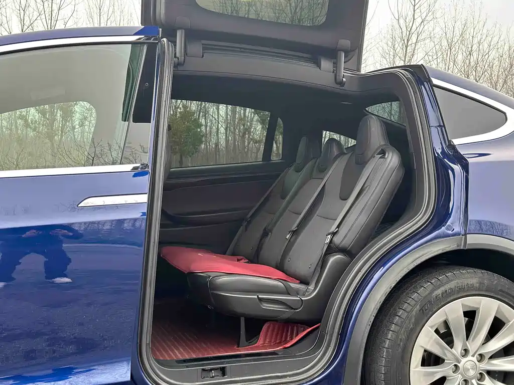 Tesla Model X 2019 — фото 10