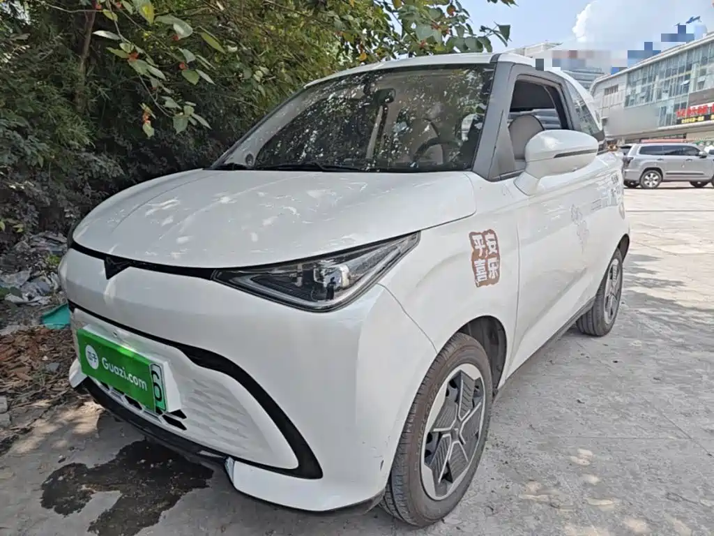 Cowin Shiyue 2024