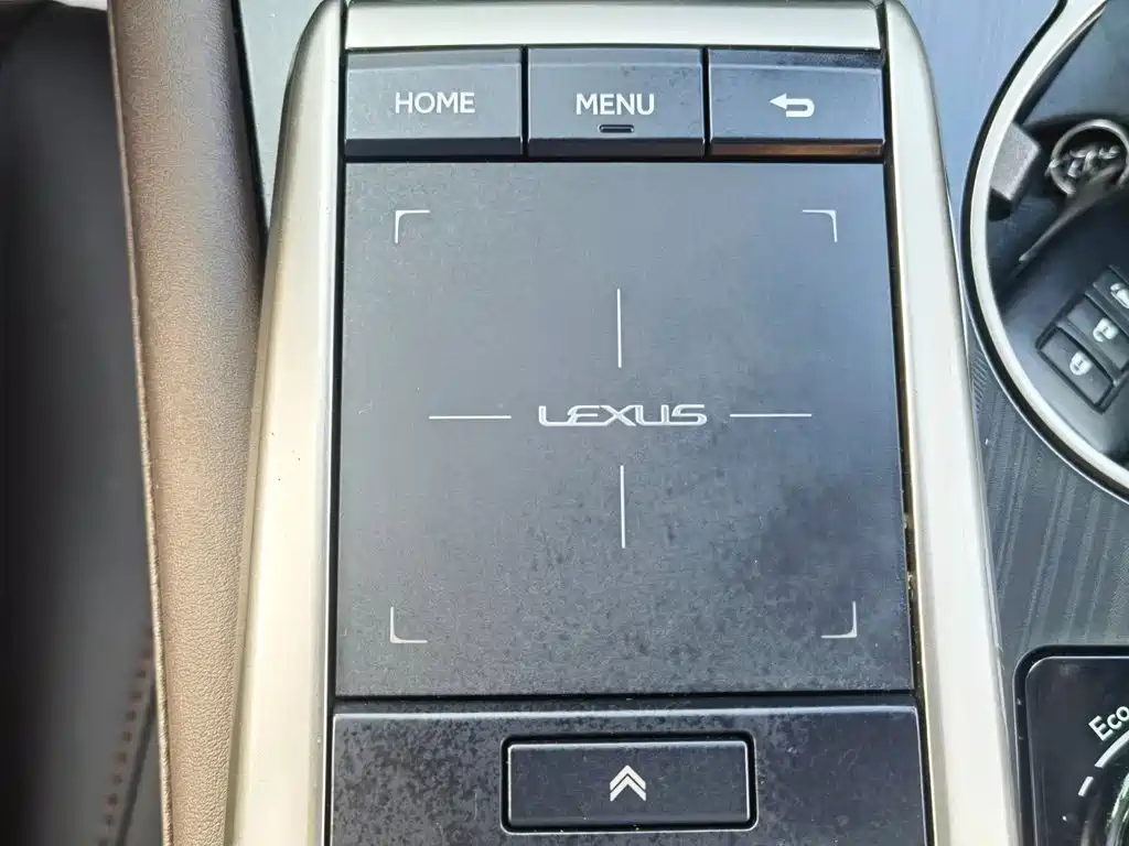 Lexus RX 2020 — фото 24