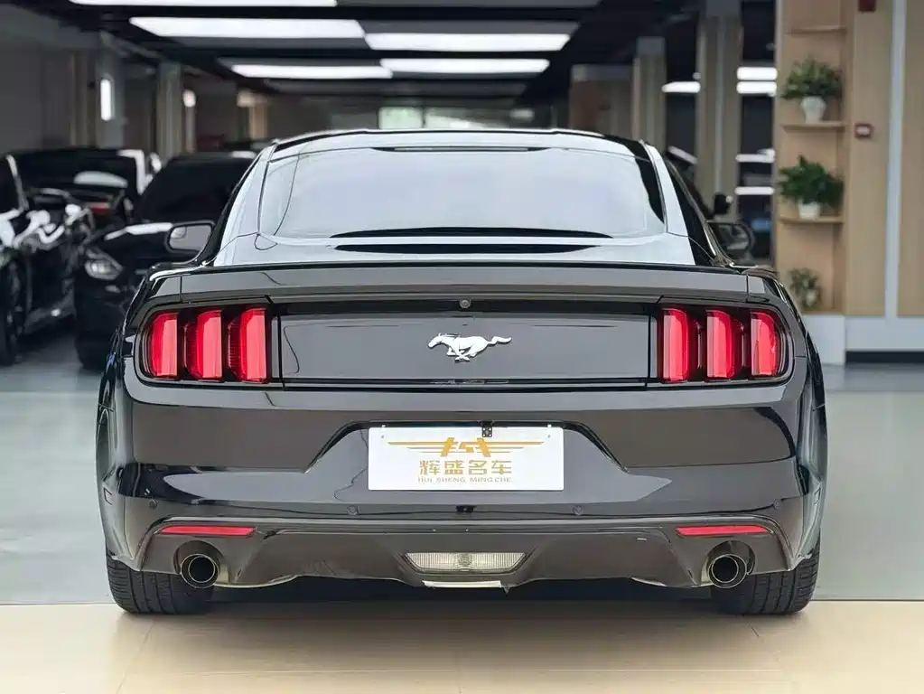 Ford Mustang 2016 — фото 9