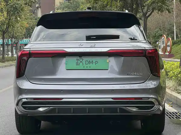 Hongqi E-HS9 2022