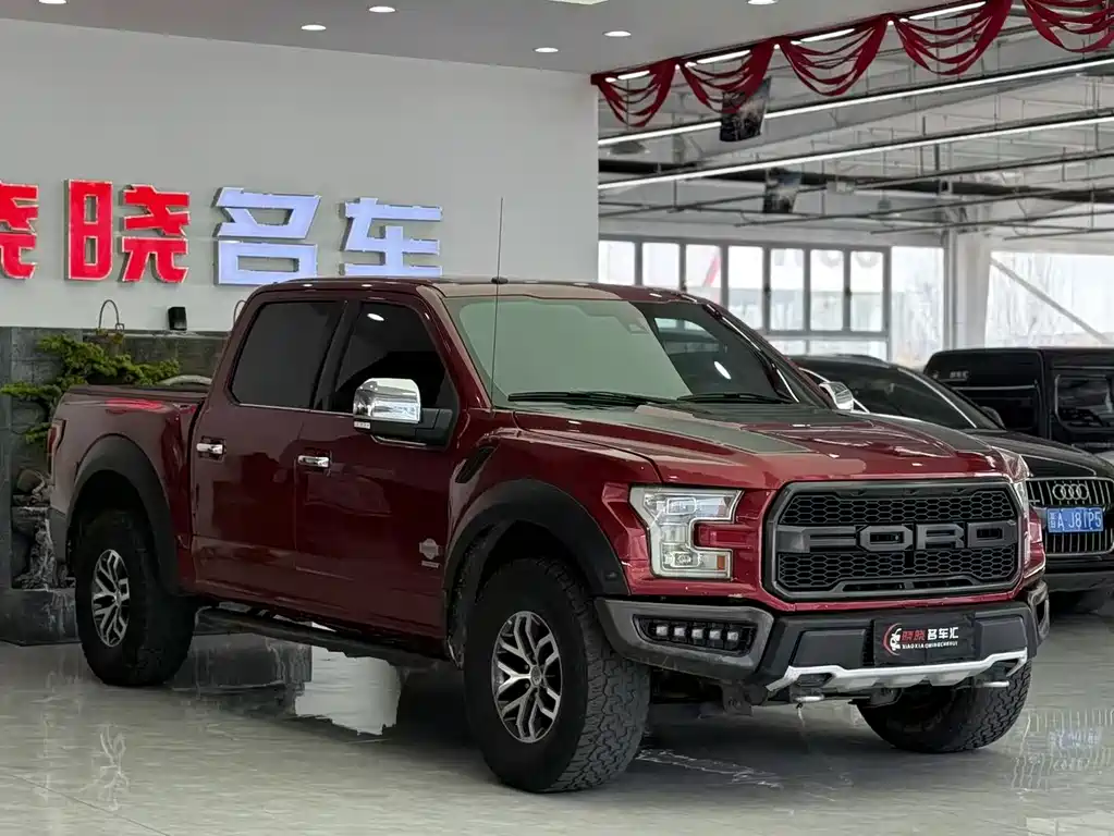 Ford F-150 Raptor 2016 — фото 2