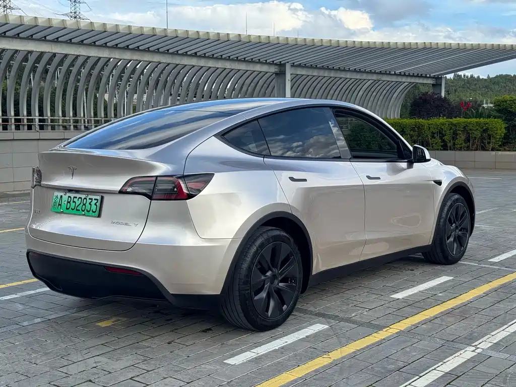 Tesla Model Y 2024 — фото 10