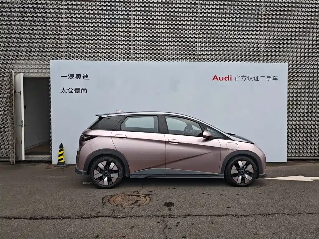 BYD Dolphin 2021