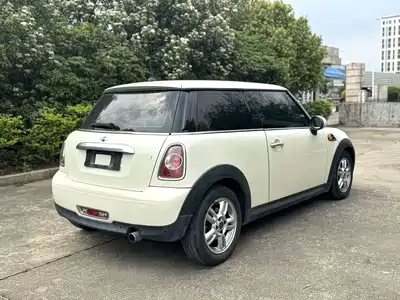 MINI MINI 2013