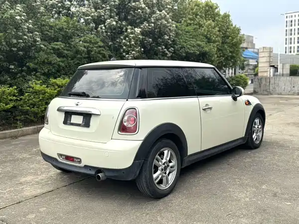 MINI 2013