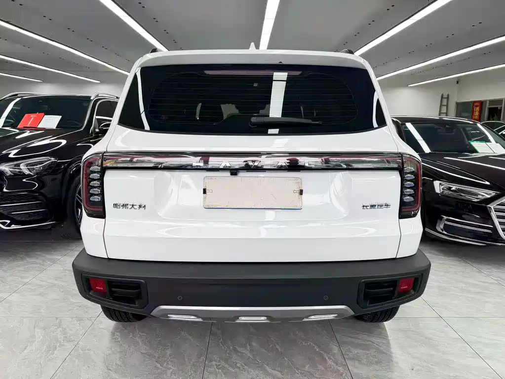 Haval Big Dog 2025