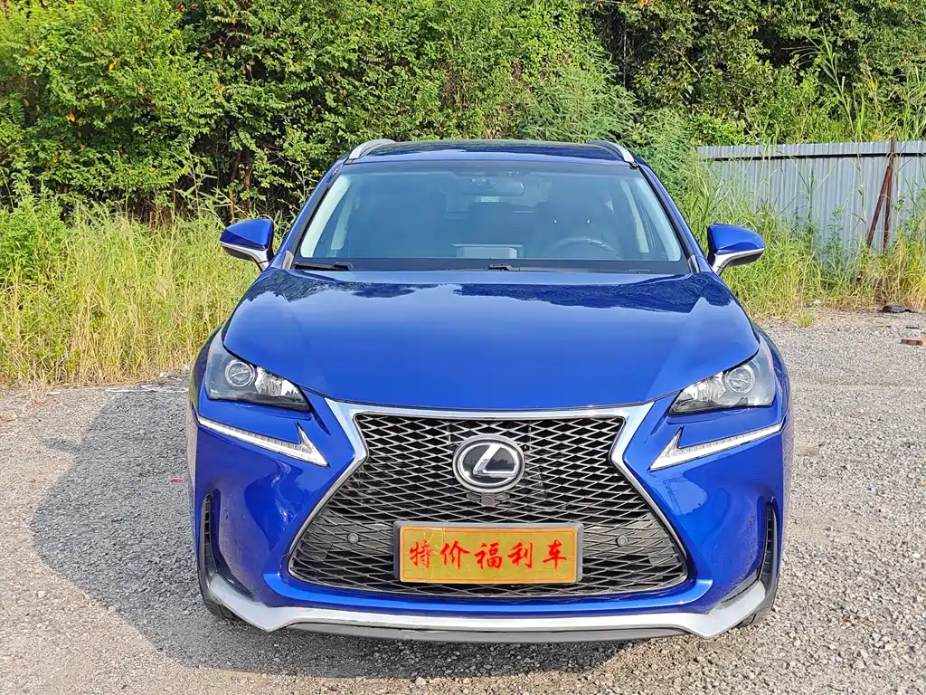 Lexus NX 2015 — фото 1