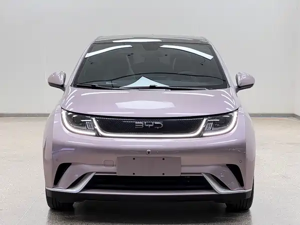BYD Dolphin 2024