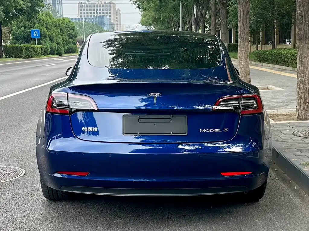 Tesla Model 3 2020 — фото 13
