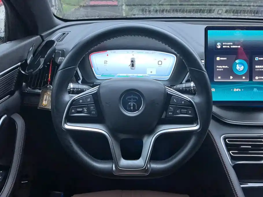 BYD Song PLUS New Energy 2022 — фото 15
