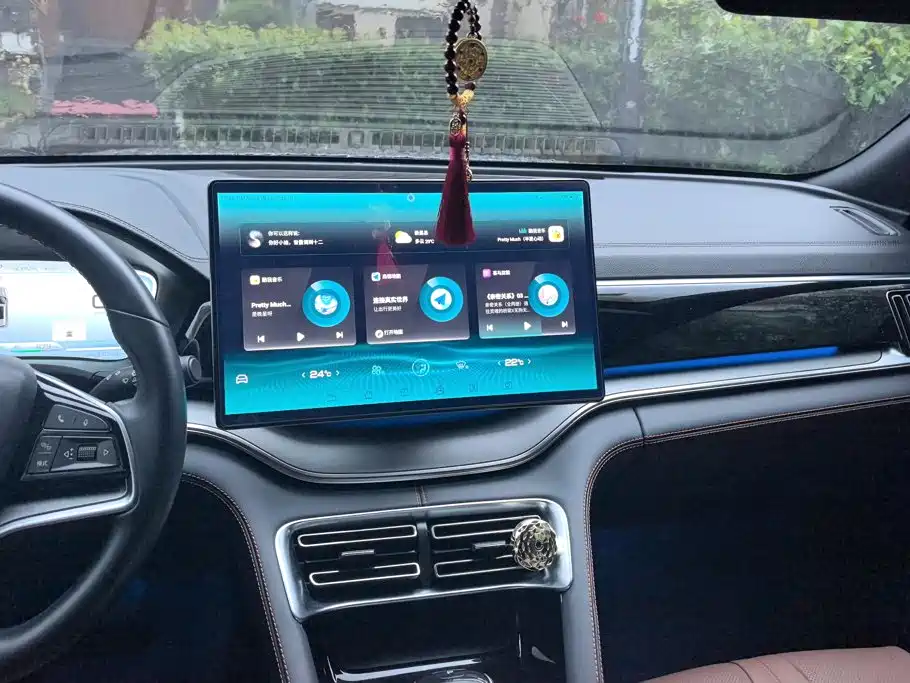 BYD Song PLUS New Energy 2022 — фото 13