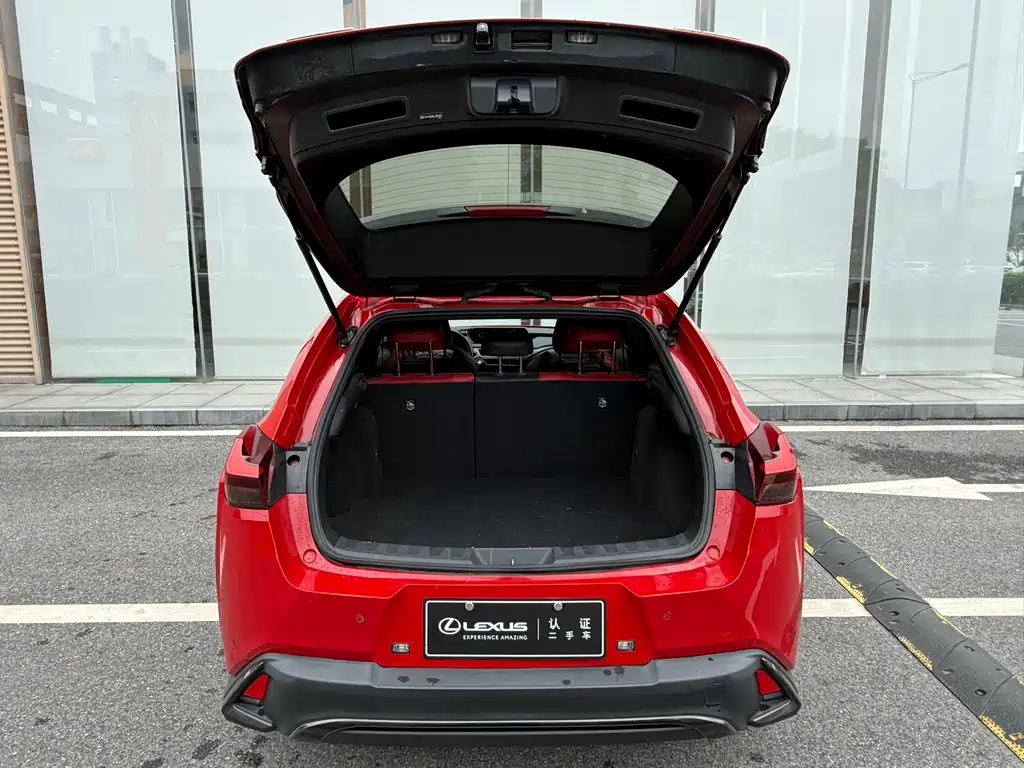 Lexus UX 2020 — фото 11