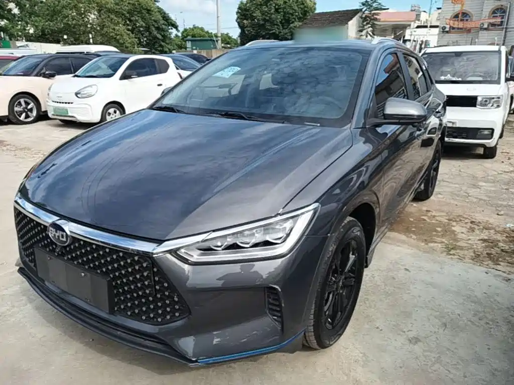 BYD e2 2021