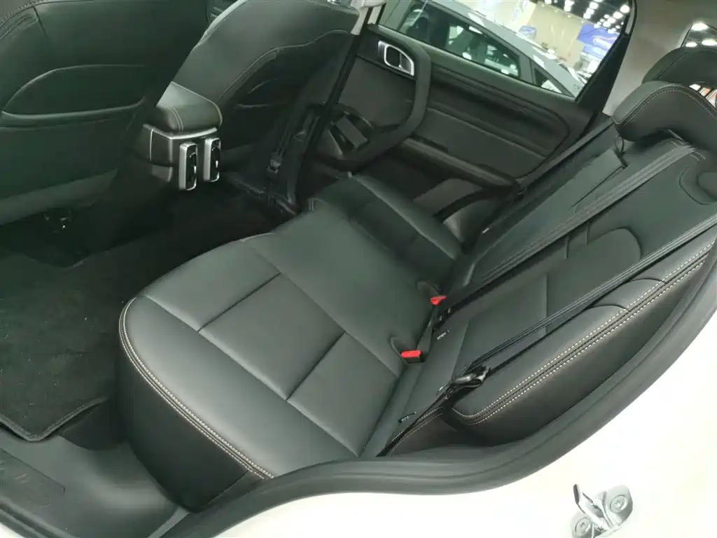 Haval Big Dog 2025 — фото 13