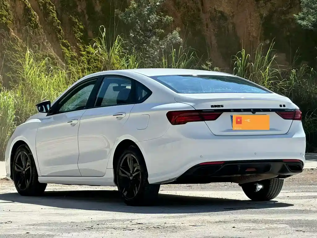 Geely Binrui 2021