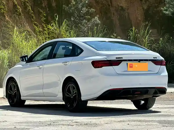Geely Binrui 2021