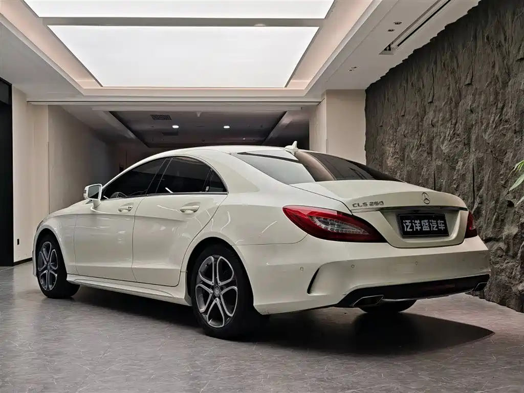 Mercedes-Benz CLS 2016 — фото 18
