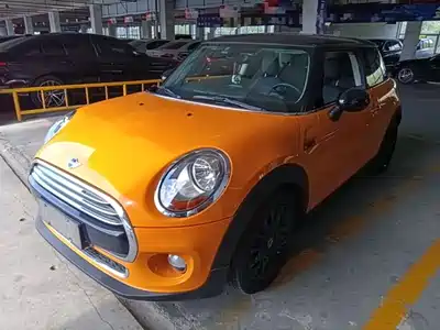 MINI MINI 2014