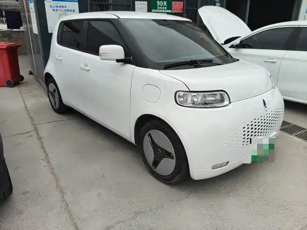 Ora White Cat 2021