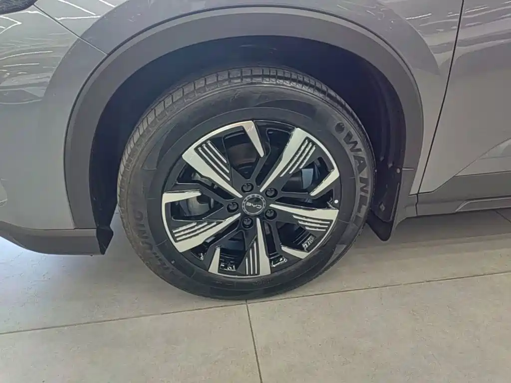 BYD Sealion 05 DM-i 2025 — фото 23