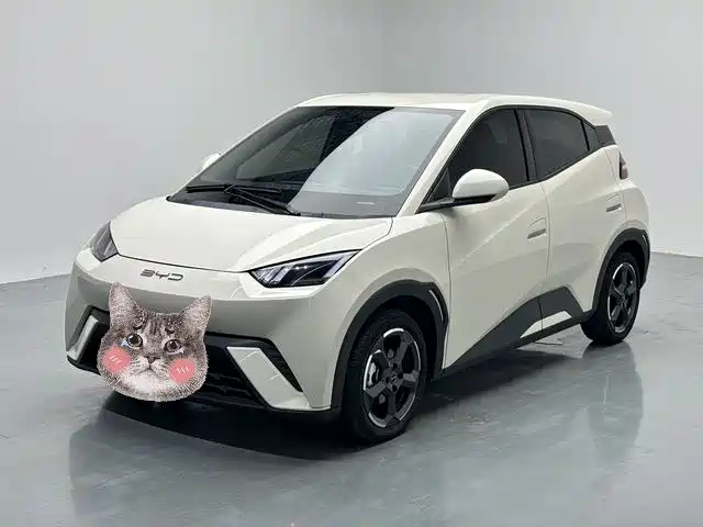 BYD Seagull 2023 — фото 1