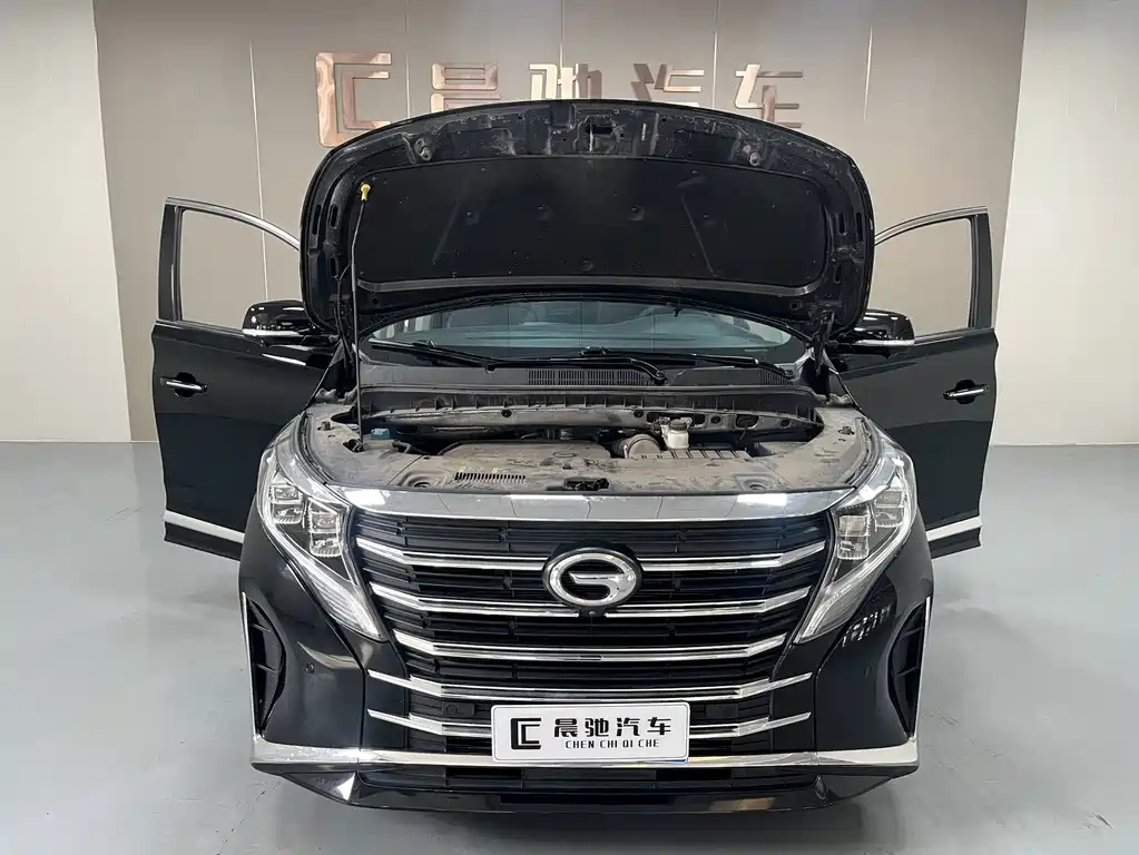 GAC Trumpchi M8 2023 — фото 15