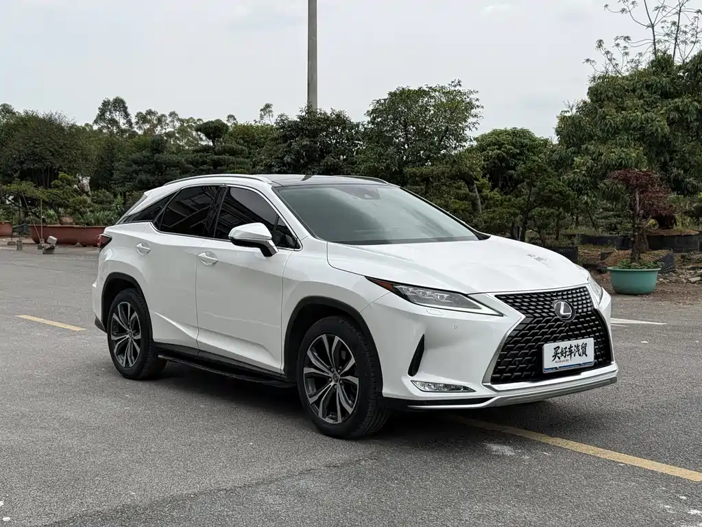 Lexus RX 2020 — фото 18