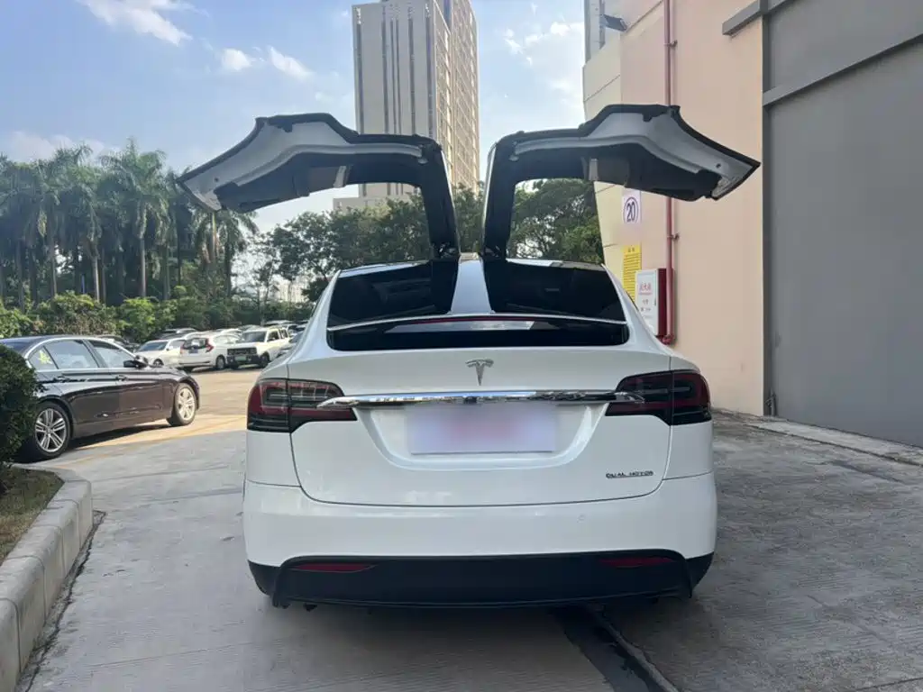 Tesla Model X 2019 — фото 24