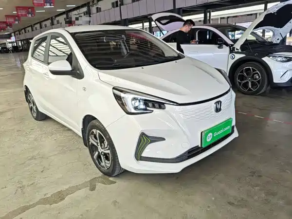 Changan Benben E-Star 2020