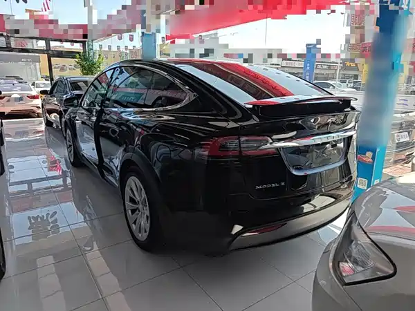 Tesla Model X 2019