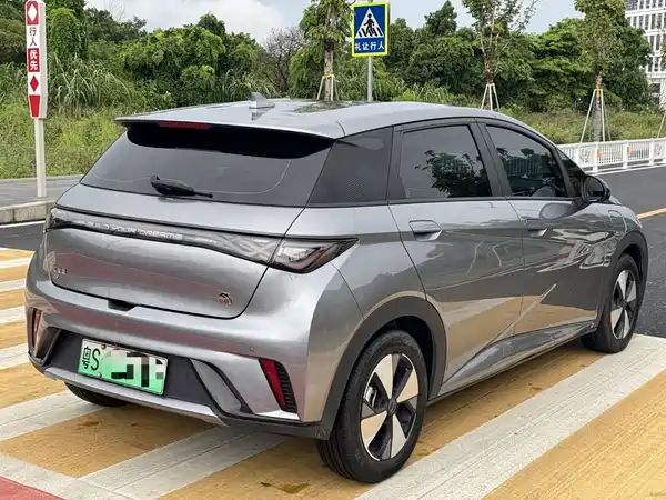 BYD Dolphin 2024