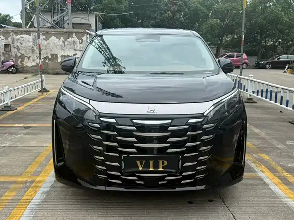 BYD Summer 2025