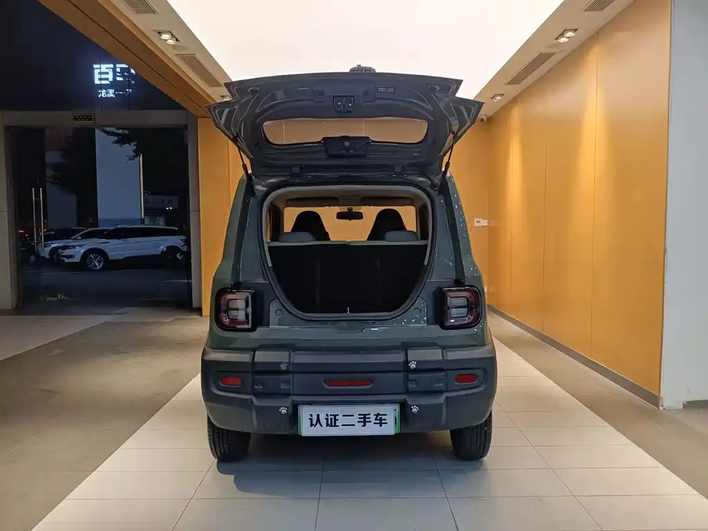 Geely Galaxy Panda 2024 — фото 25