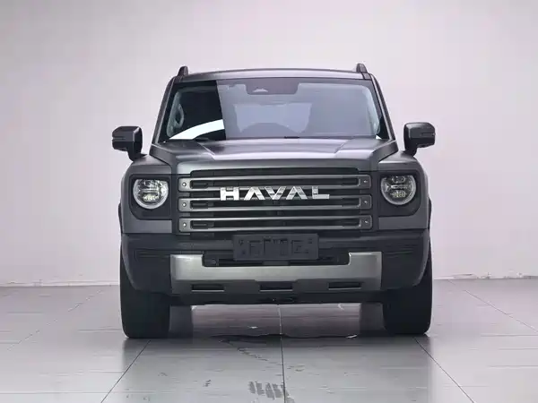 Haval Raptors New Energy 2024