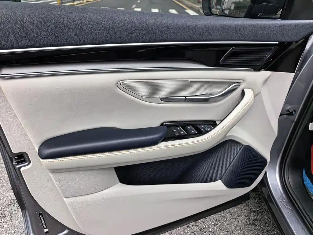 BYD PLUS New Energy 2021 — фото 19
