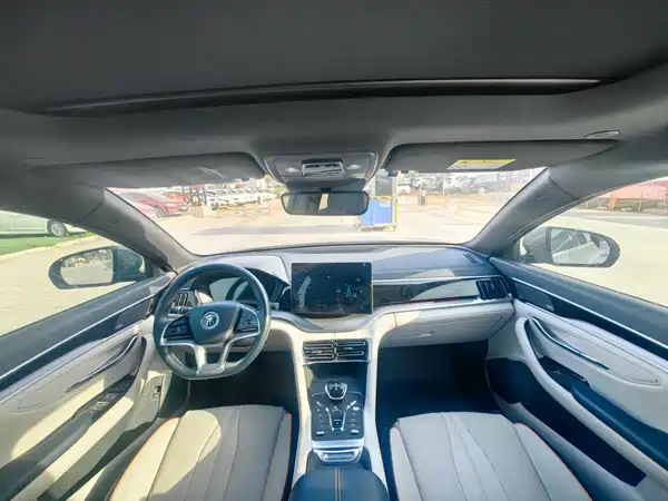 BYD Song PLUS New Energy 2022