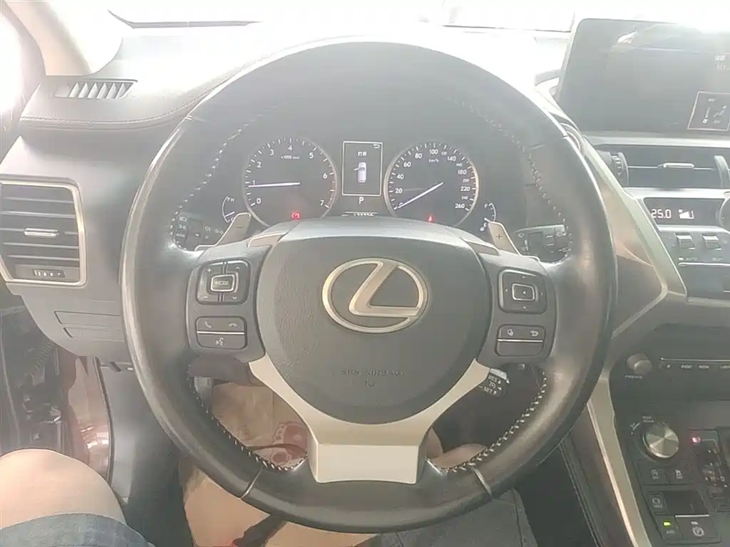 Lexus NX 2018 — фото 11