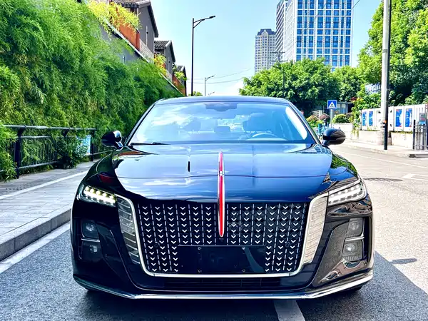 Hongqi H5 2024