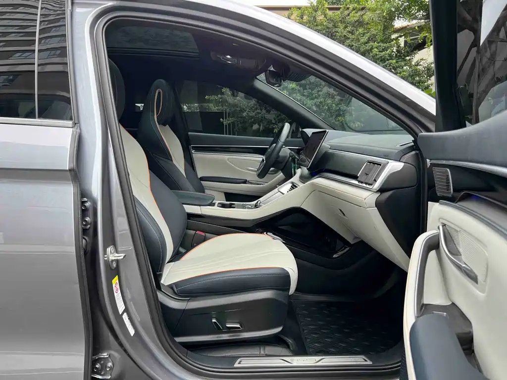 BYD PLUS New Energy 2023 — фото 14