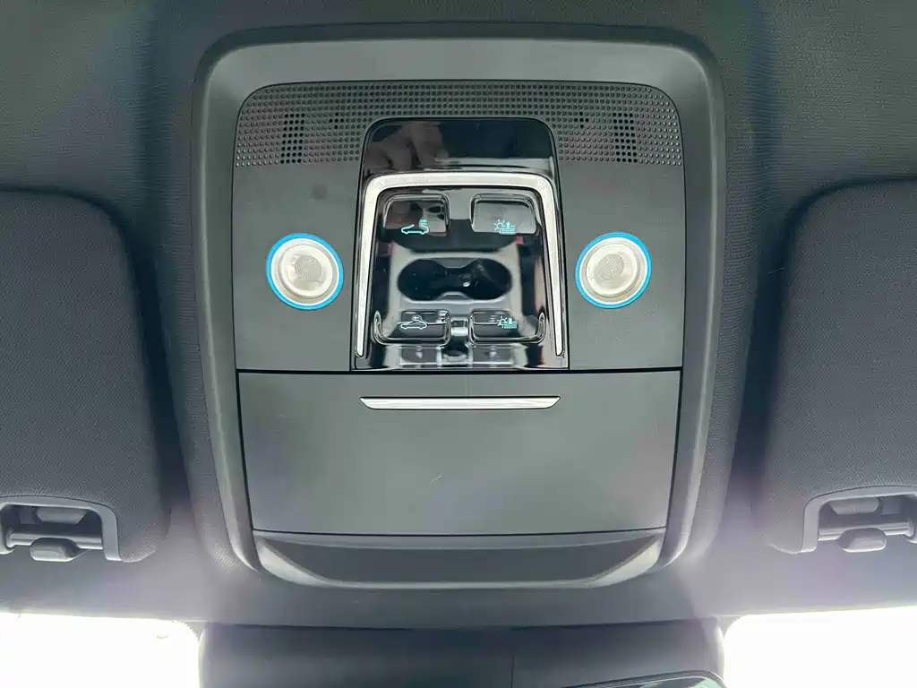 BYD PLUS New Energy 2023 — фото 27