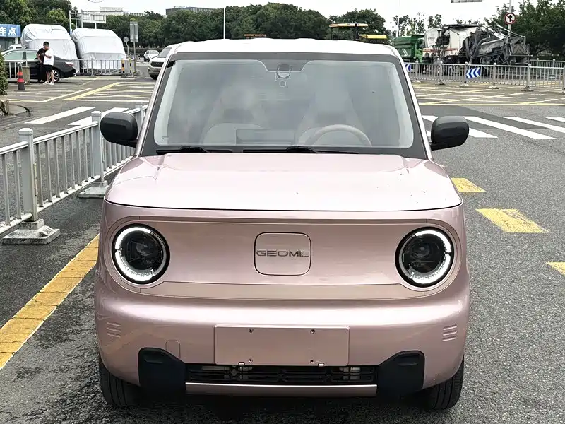 Galaxy Panda 2023
