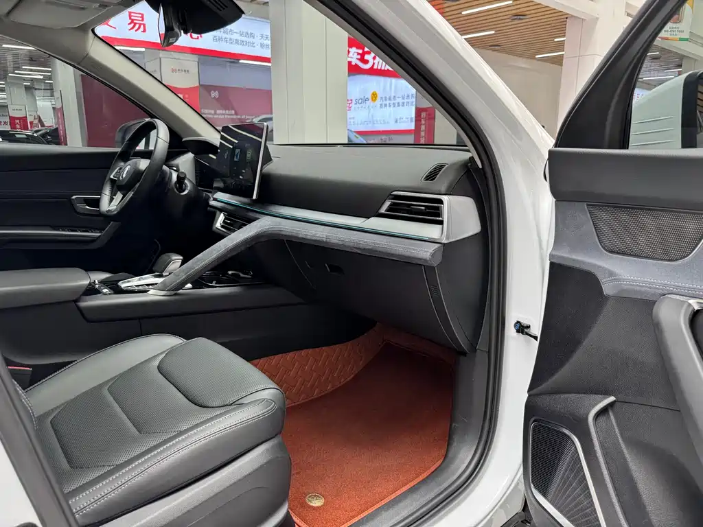 BYD Pro New Energy 2021 — фото 18