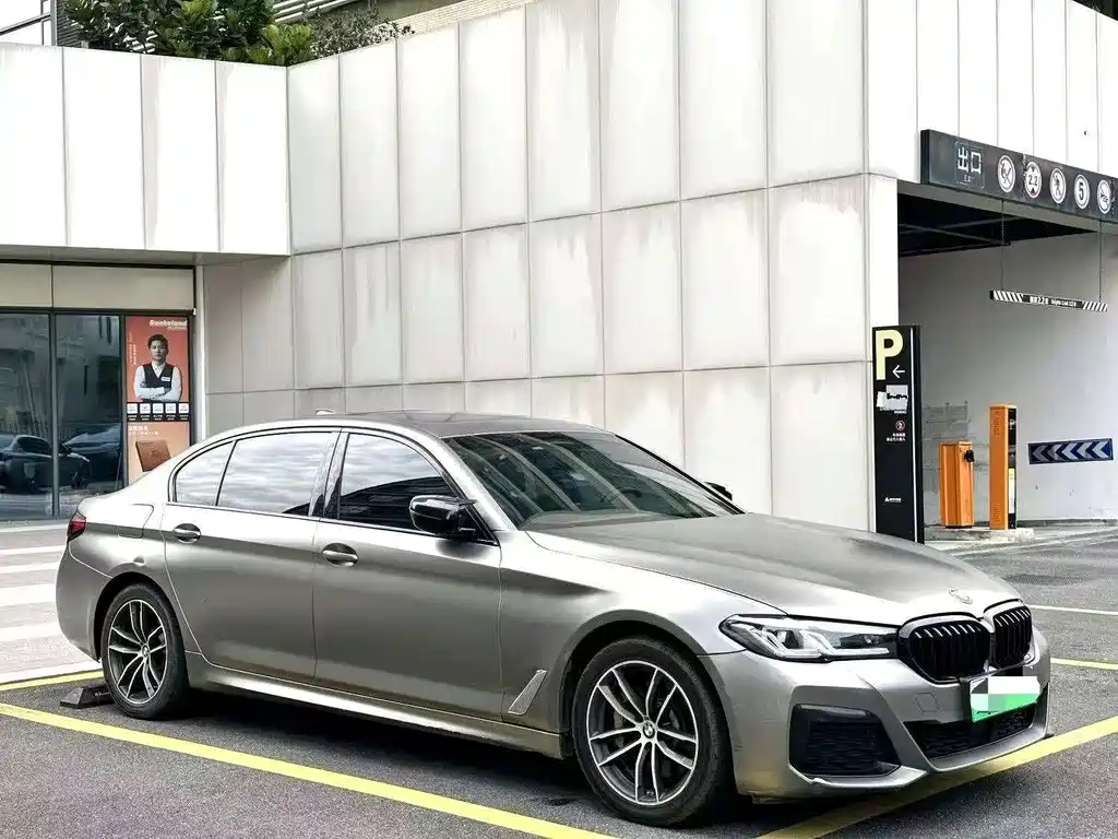 BMW 5 Series New Energy 2020