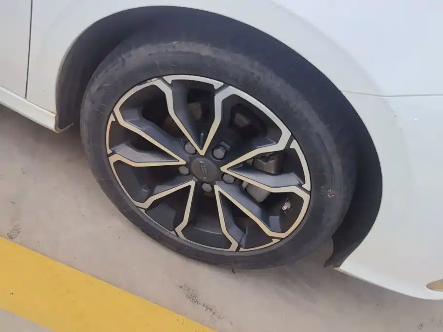 Geely Binrui 2021