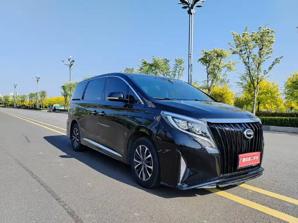 GAC Motor Trumpchi M8 2021 — фото 12